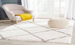 What makes Shaggy Rugs different from other types of rugs?