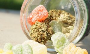Empowering Health Choices: Exploring the Role of Hemp Gummy Retailers
