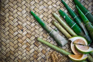 The Role of Betel Nut in Oral Submucous Fibrosis: