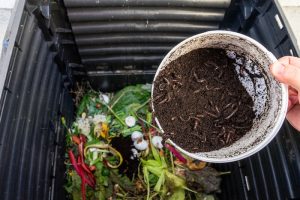 How to Build an Efficient Composting Worm Bin for Organic Waste