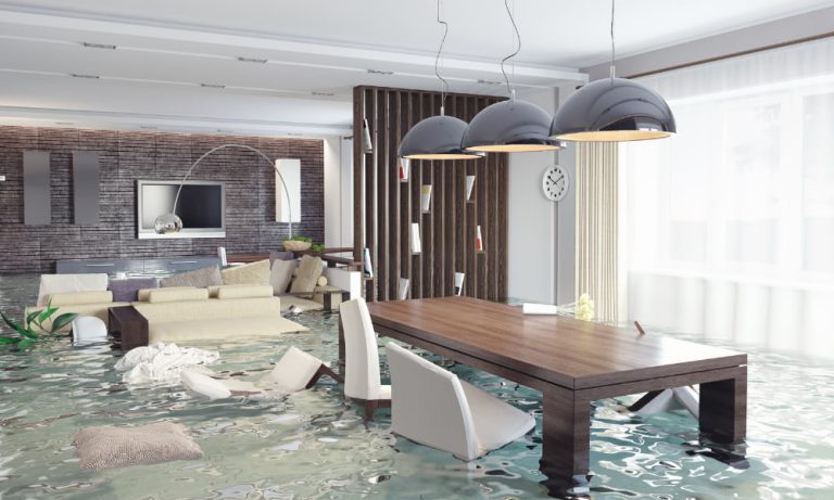 DIY Flood Remediation Versus Professional Services: Making the Right Choice for Your Home