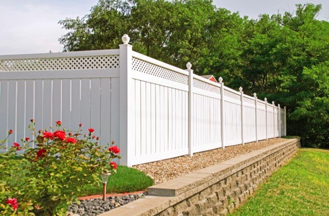 Reason to Choose Pet Fences From a Fence company in Washington, D.C.