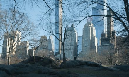 3 Reasons the Market May Be Mispricing Blue Owl Capital Corporation