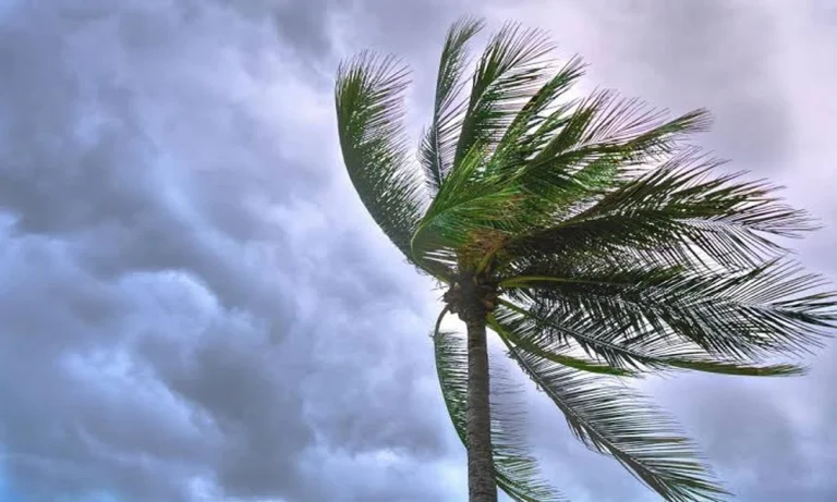 Weather-Proofing the Weekly Property Walk: A Facility Manager’s Storm Season Routine