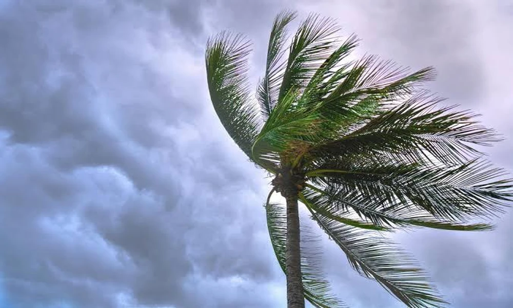Weather-Proofing the Weekly Property Walk: A Facility Manager’s Storm Season Routine